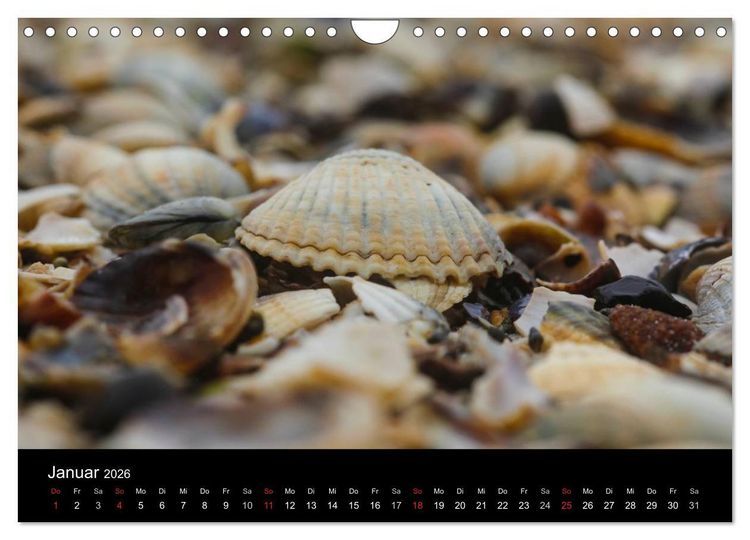 Produktbild: NORDSEE IMPRESSIONEN (Wandkalender 2026 DIN A4 quer), CALVENDO Monatskalender