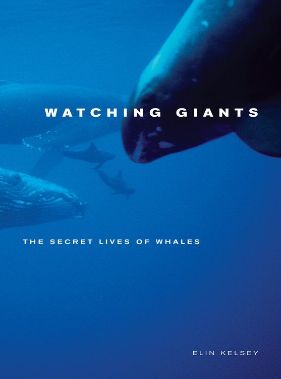 Produktbild: Watching Giants