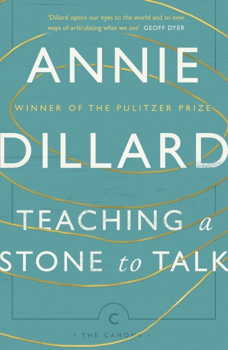 Produktbild: Teaching a Stone to Talk