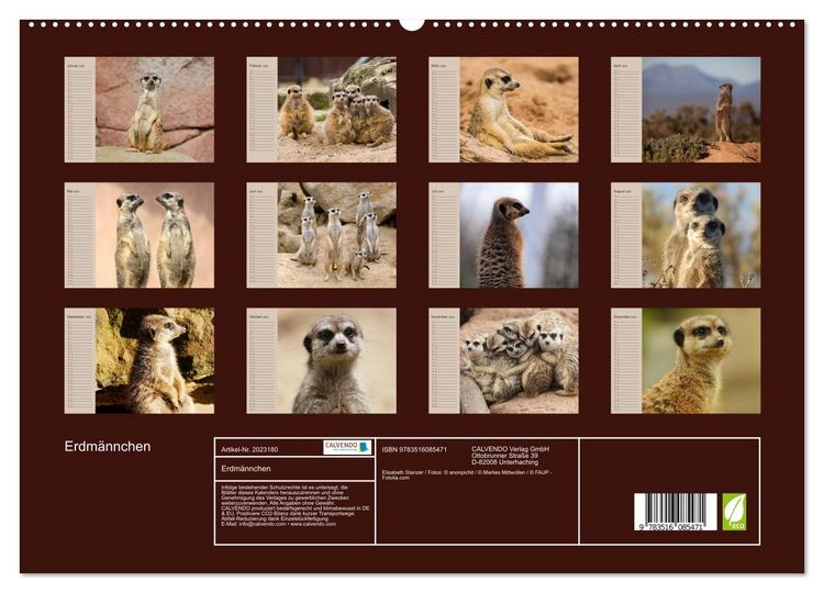 Produktbild: Erdm&auml;nnchen (hochwertiger Premium Wandkalender 2026 DIN A2 quer), Kunstdruck in Hochglanz