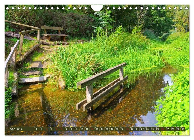 Produktbild: Bad Bodenteich - Kurort in der L&uuml;neburger Heide (Wandkalender 2026 DIN A4 quer), CALVENDO Monatskalender