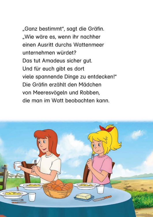 Produktbild: Bibi & Tina: Pferdesommer mit Bibi und Tina