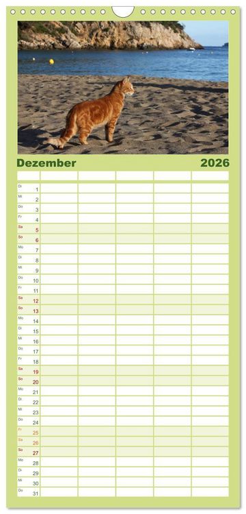 Produktbild: Familienplaner 2026 - Zauberhaftes Ibiza mit 5 Spalten (Wandkalender, 21 x 45 cm) CALVENDO