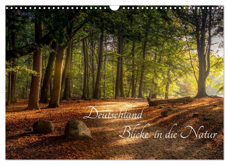 Produktbild: Deutschland Blicke in die Natur (Wandkalender 2026 DIN A3 quer), CALVENDO Monatskalender