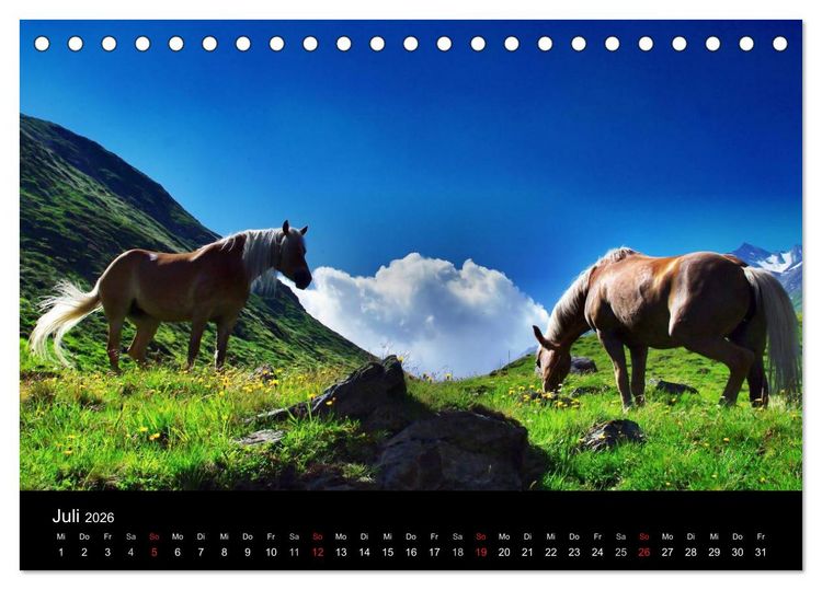Produktbild: Faszination Pferde (Tischkalender 2026 DIN A5 quer), CALVENDO Monatskalender