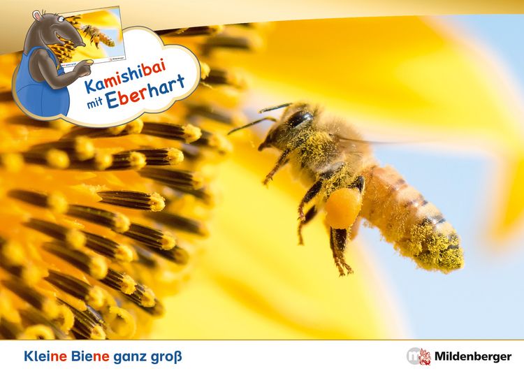 Produktbild: Kamishibai mit Eberhart - Kleine Biene ganz gro&szlig; - Set