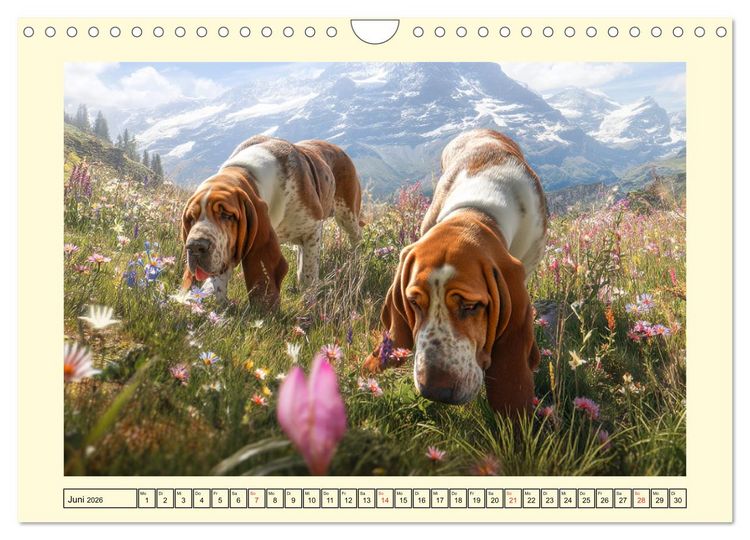 Produktbild: Bloodhound Momente. Zielstrebige Schn&uuml;ffler mit treuer Seele (Wandkalender 2026 DIN A4 quer), CALVENDO Monatskalender