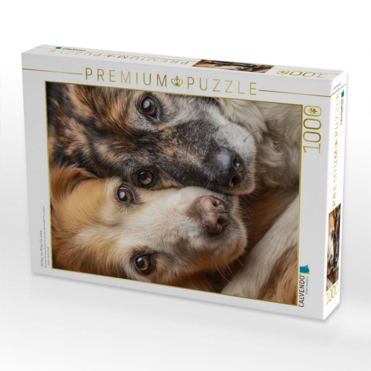 Produktbild: CALVENDO Puzzle Ein Herz. Vier Pfoten. F&uuml;r immer | 1000 Teile Lege-Gr&ouml;&szlig;e 64x48cm Foto-Puzzle f&uuml;r gl&uuml;ckliche Stunden
