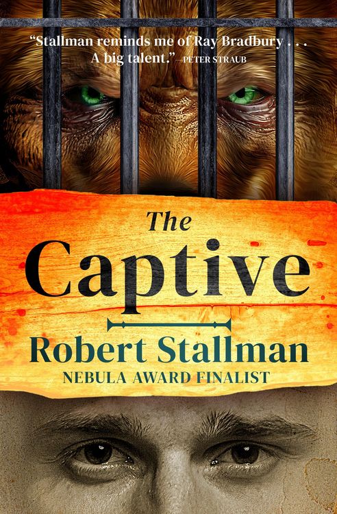 Produktbild: The Captive
