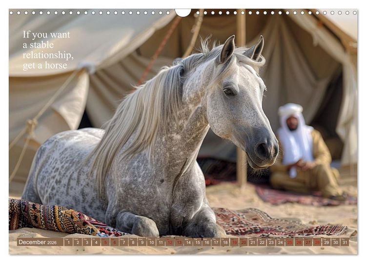 Produktbild: A Horse Makes You Complete (Wall Calendar 2026 DIN A3 landscape), CALVENDO 12 Month Wall Calendar