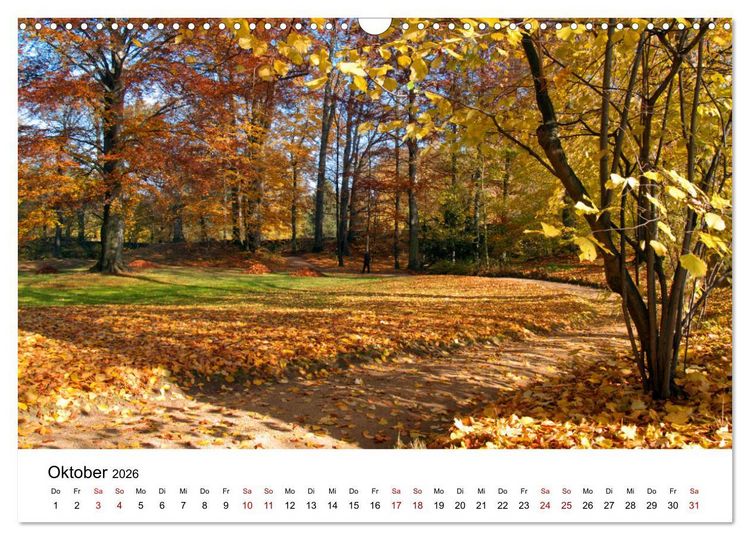 Produktbild: Waldheim (Wandkalender 2026 DIN A3 quer), CALVENDO Monatskalender