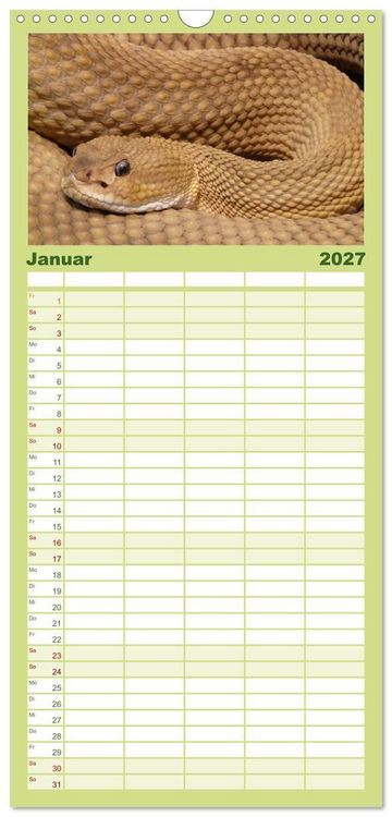 Produktbild: Familienplaner 2027 - Schlangen mit 5 Spalten (Wandkalender, 21 x 45 cm) CALVENDO
