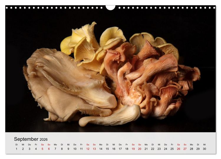 Produktbild: Japanese Cuisine (Wandkalender 2026 DIN A3 quer), CALVENDO Monatskalender