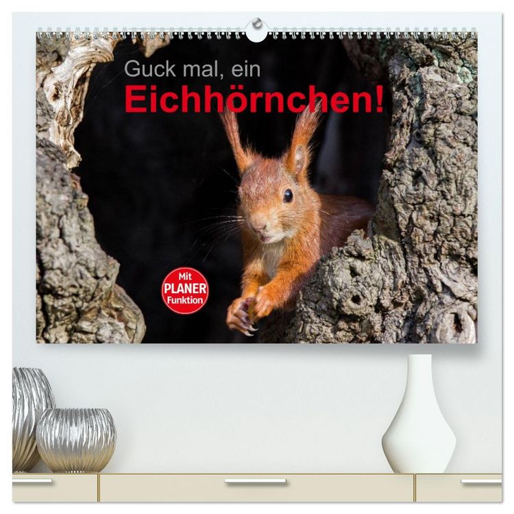 Produktbild: Guck mal, ein Eichh&ouml;rnchen! (hochwertiger Premium Wandkalender 2026 DIN A2 quer), Kunstdruck in Hochglanz