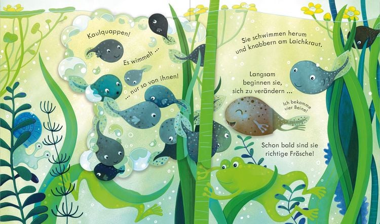 Produktbild: Guck mal, wer da ist! Das Leben im Teich