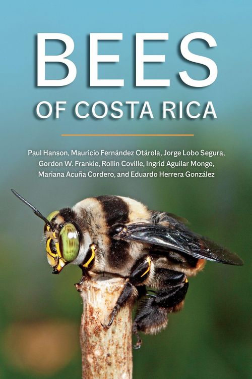 Produktbild: Bees of Costa Rica