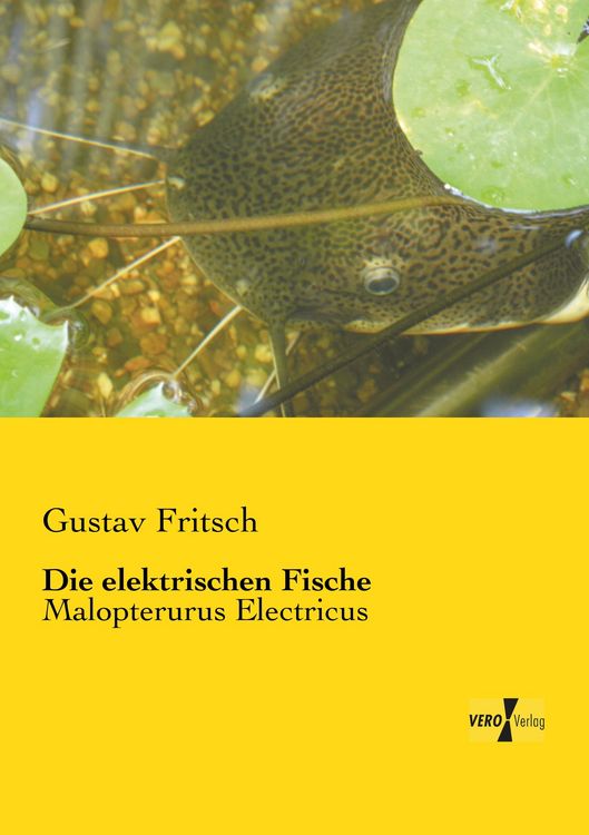 Produktbild: Die elektrischen Fische