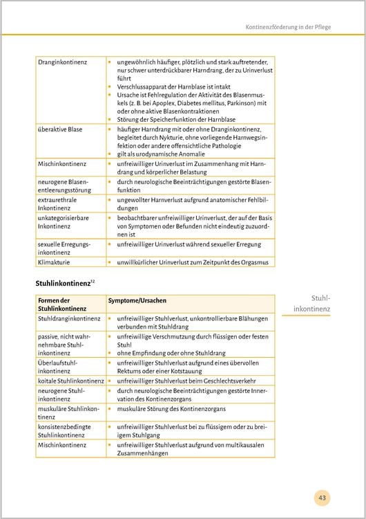 Produktbild: Expertenstandards leicht gemacht