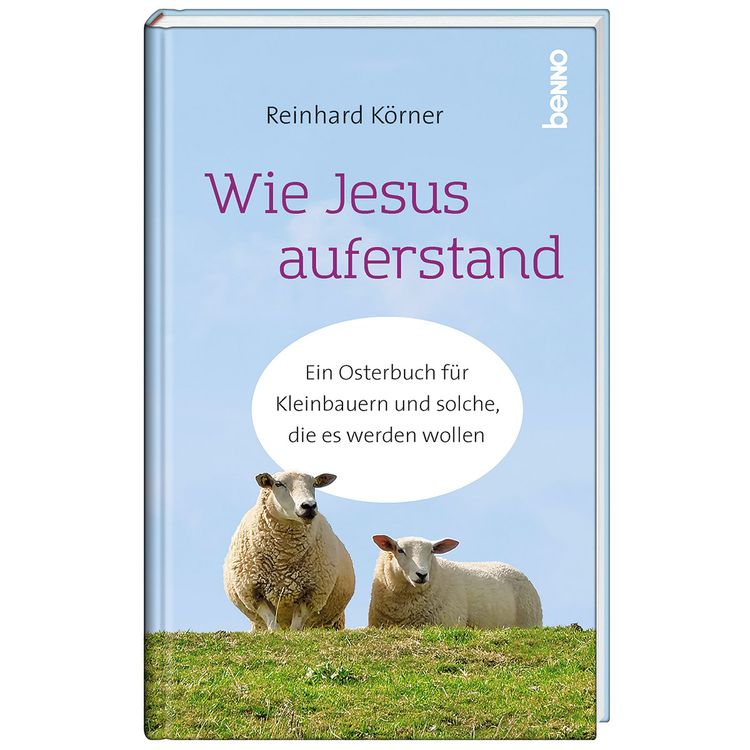 Produktbild: Wie Jesus auferstand