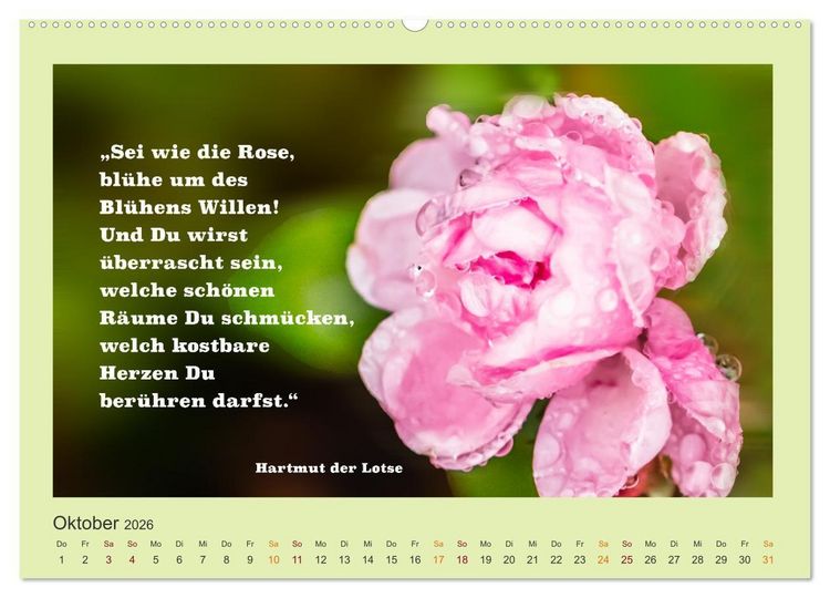 Produktbild: Co-Kreation, Gemeinsam Wunder erschaffen (hochwertiger Premium Wandkalender 2026 DIN A2 quer), Kunstdruck in Hochglanz