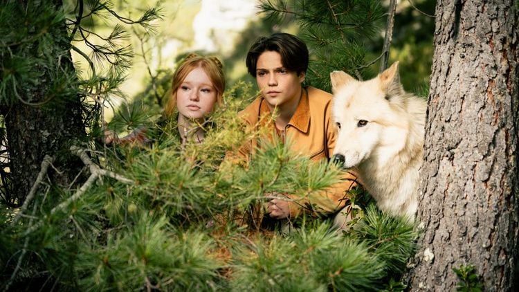 Produktbild: Woodwalkers 2