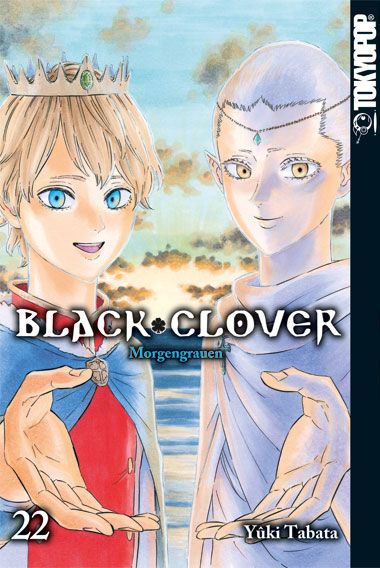 Produktbild: Black Clover 22