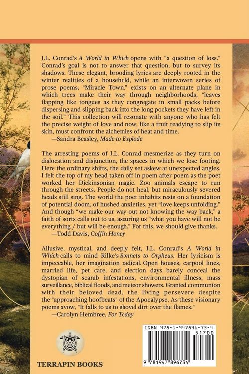 Produktbild: A World in Which