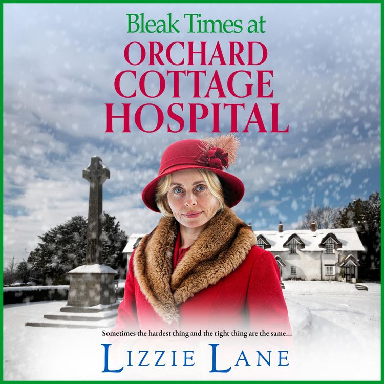 Produktbild: Bleak Times at Orchard Cottage Hospital