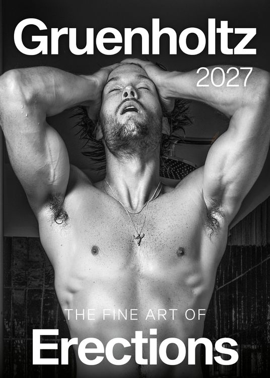 Produktbild: The Fine Art of Erections 2027