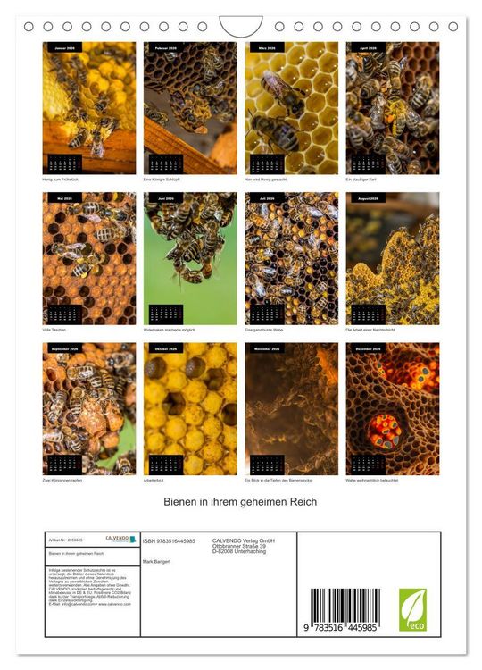 Produktbild: Bienen in ihrem geheimen Reich (Wandkalender 2026 DIN A4 hoch), CALVENDO Monatskalender