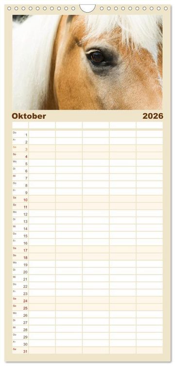 Produktbild: Familienplaner 2026 - Haflinger mit 5 Spalten (Wandkalender, 21 x 45 cm) CALVENDO