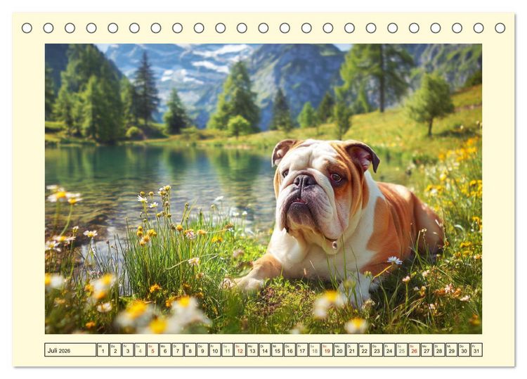 Produktbild: Bulldogs on Tour. Urlaubsreif und schnaufend zum Gipfelgl&uuml;ck (Tischkalender 2026 DIN A5 quer), CALVENDO Monatskalender