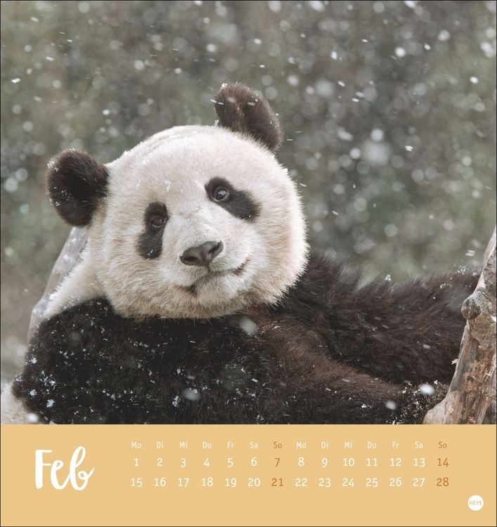 Produktbild: B&auml;renstark Postkartenkalender 2027