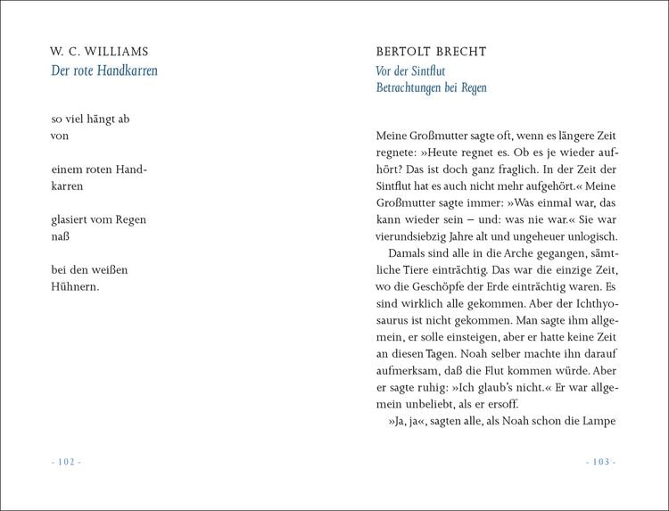 Produktbild: &raquo;Ein kleiner Regen macht nicht nass&laquo;