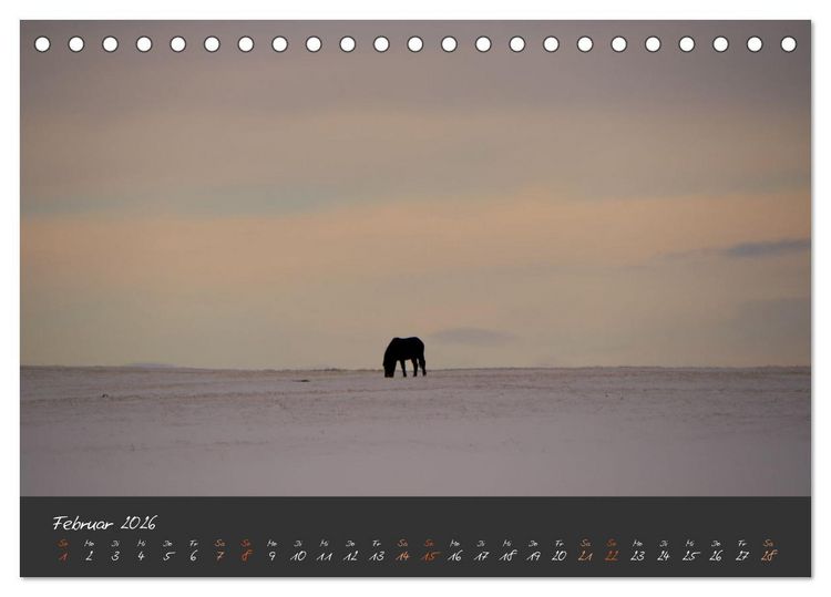Produktbild: Islandpferde im Isi-Land (Tischkalender 2026 DIN A5 quer), CALVENDO Monatskalender