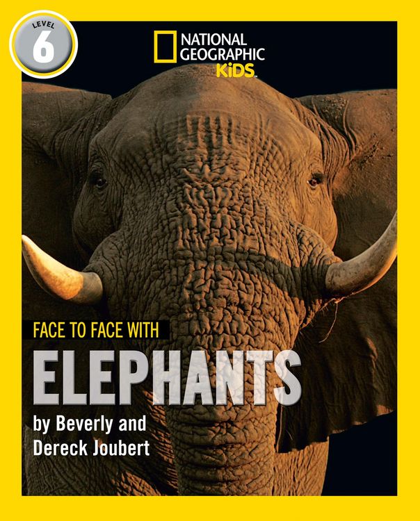 Produktbild: Face to Face with Elephants