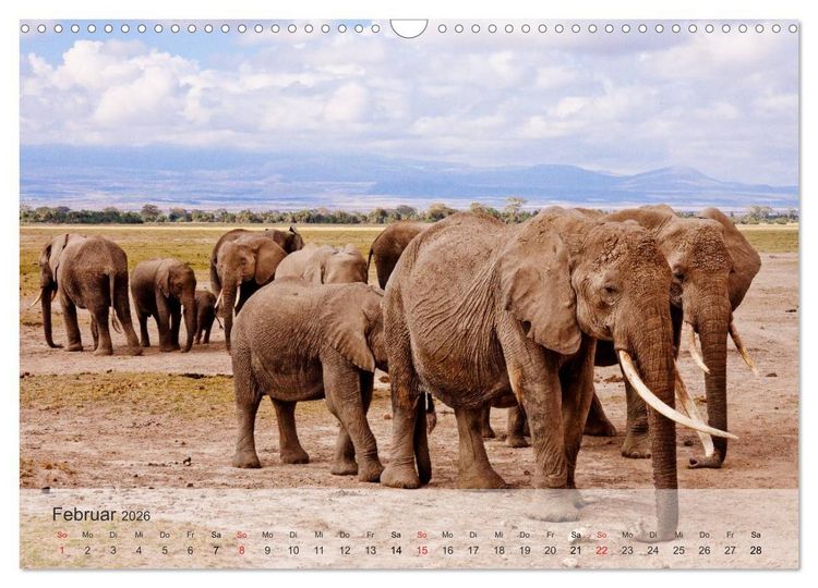 Produktbild: Afrikas sch&ouml;ne Tierwelt (Wandkalender 2026 DIN A3 quer), CALVENDO Monatskalender
