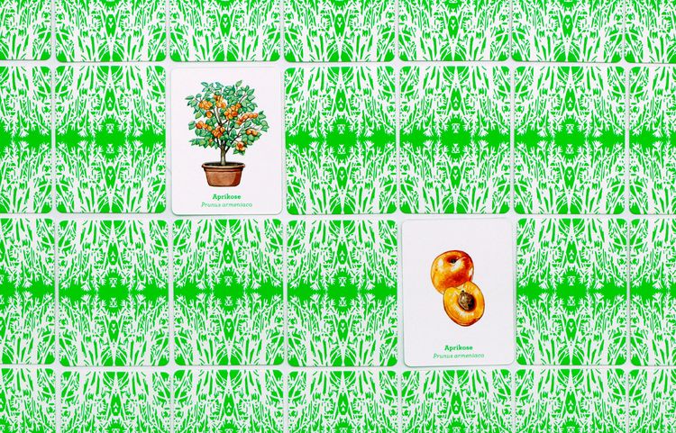 Produktbild: Obst & Gem&uuml;se