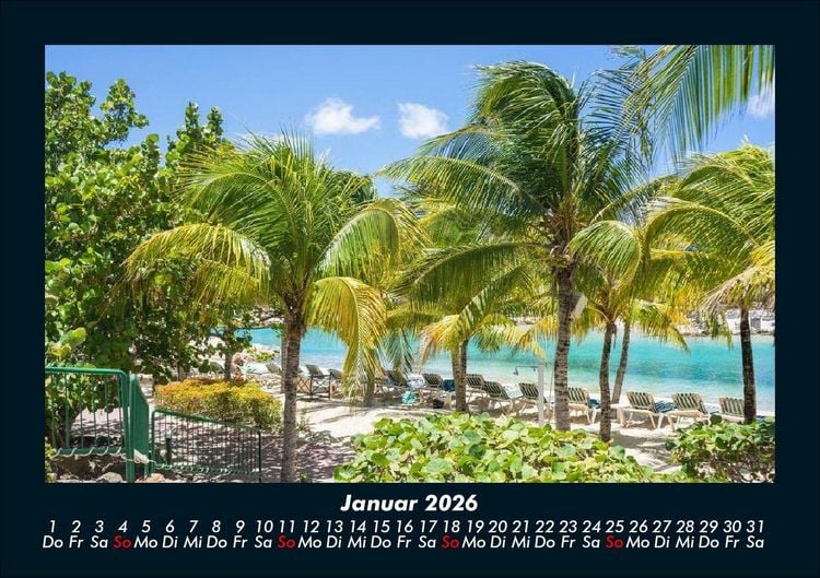 Produktbild: Palmen 2026 Fotokalender DIN A5