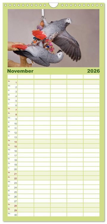 Produktbild: Familienplaner 2026 - Graupapageien zum Verlieben mit 5 Spalten (Wandkalender, 21 x 45 cm) CALVENDO