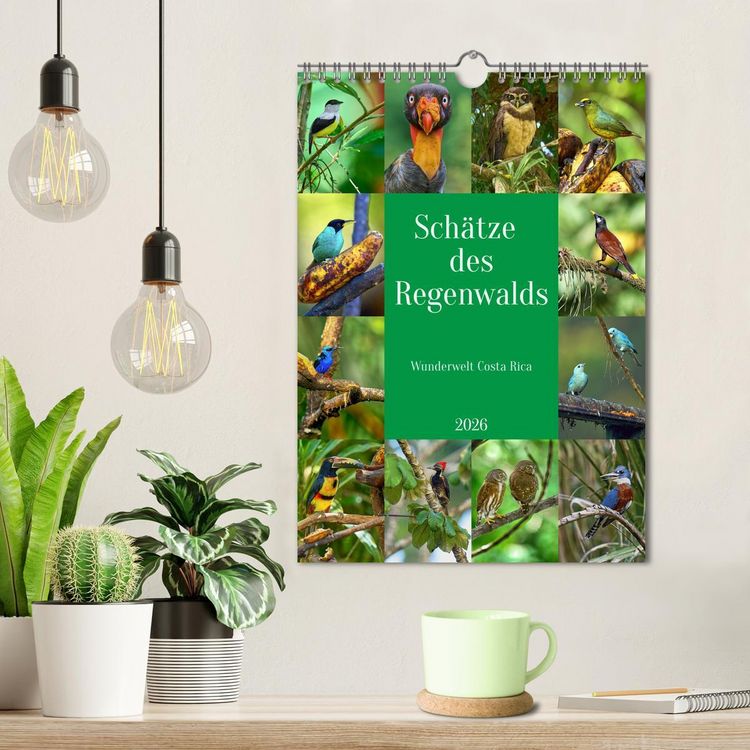 Produktbild: Sch&auml;tze des Regenwalds (Wandkalender 2026 DIN A4 hoch), CALVENDO Monatskalender