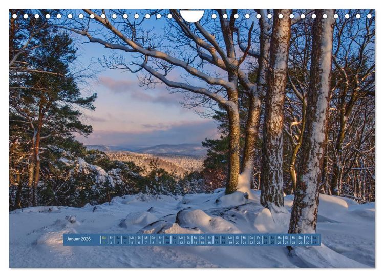 Produktbild: Magischer Pf&auml;lzer Wald (Wandkalender 2026 DIN A4 quer), CALVENDO Monatskalender