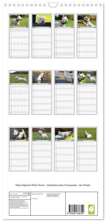 Produktbild: Familienplaner 2027 - West Highland White Terrier - Selbstbewustes Powerpaket - der Westie mit 5 Spalten (Wandkalender, 21 x 45 cm) CALVENDO