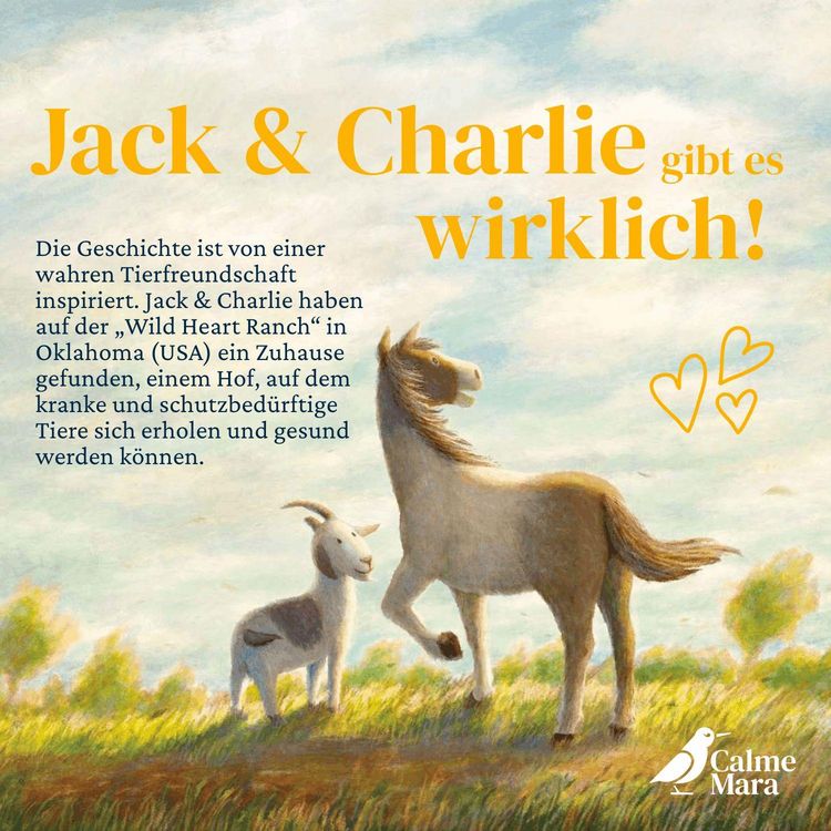 Produktbild: Hier lang, Charlie