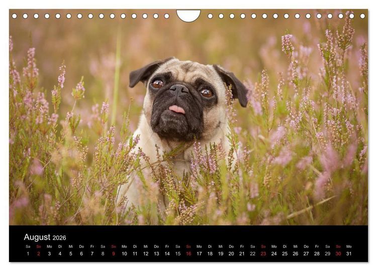 Produktbild: Vermopst durchs Jahr (Wandkalender 2026 DIN A4 quer), CALVENDO Monatskalender