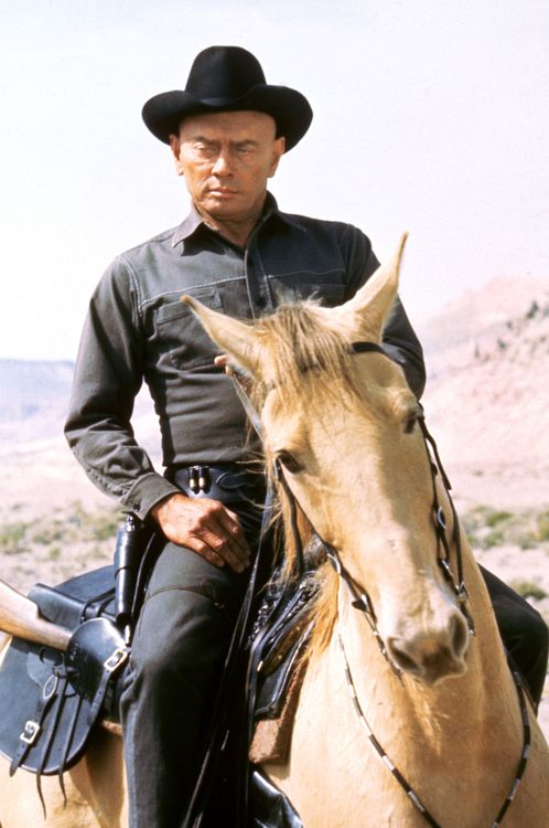 Produktbild: Westworld