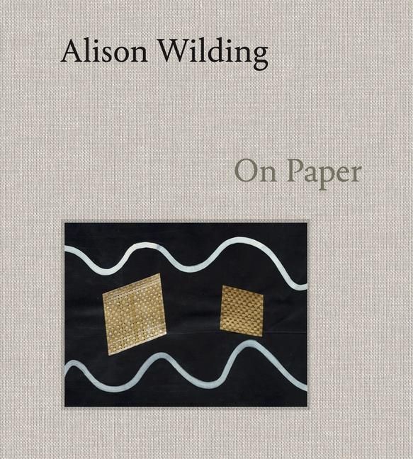 Produktbild: Alison Wilding: On Paper