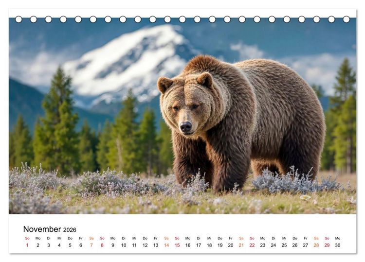 Produktbild: B&auml;ren - Die Macht der Natur (Tischkalender 2026 DIN A5 quer), CALVENDO Monatskalender