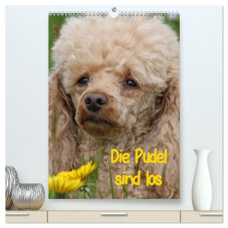 Produktbild: Die Pudel sind los (hochwertiger Premium Wandkalender 2026 DIN A2 hoch), Kunstdruck in Hochglanz