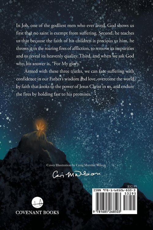 Produktbild: The Book of Job When God Throws Faith in the Fire